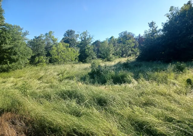 Photo 4 of Land for sale at Block 004 W Hwy 84 Hwy, Mexia, TX 76667 | MLS# 21368050 | Listing updated on 2026-08-28