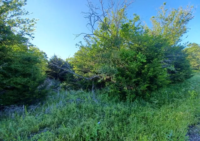 Photo 6 of Land for sale at Block 004 W Hwy 84 Hwy, Mexia, TX 76667 | MLS# 21368050 | Listing updated on 2026-08-28