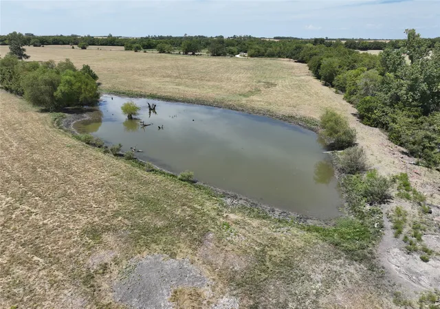 Photo 2 of Land for sale at Tbd County Road 26701, Petty, TX 75470 | MLS# 21371812 | Listing updated on 2026-08-29