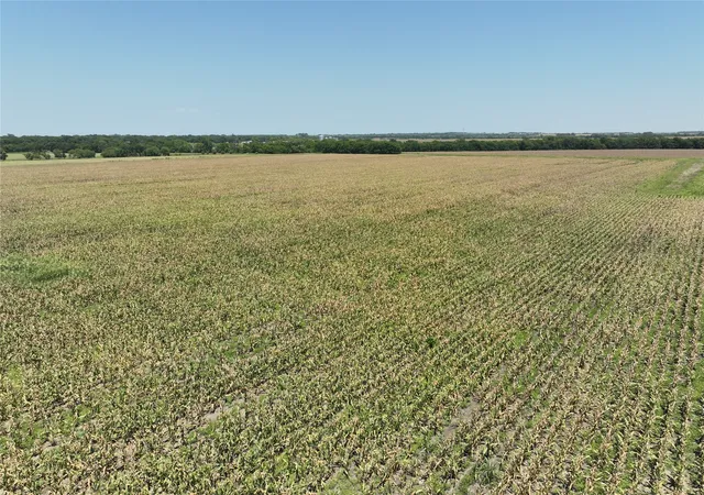 Photo 3 of Land for sale at 152 Acres Fm 137, Petty, TX 75470 | MLS# 21371864 | Listing updated on 2026-08-29