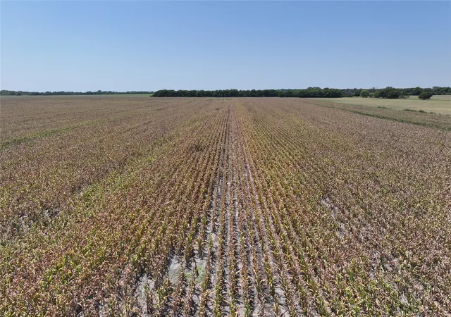 Photo 3 of Land for sale at 152 Acres Fm 137, Petty, TX 75470 | MLS# 21371864 | Listing updated on 2026-08-29