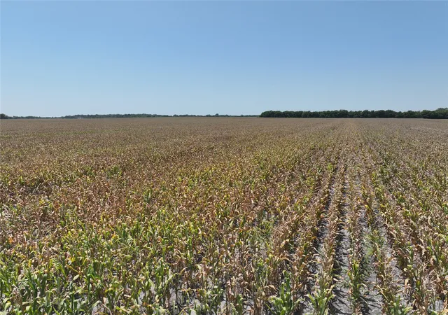 Photo 4 of Land for sale at 152 Acres Fm 137, Petty, TX 75470 | MLS# 21371864 | Listing updated on 2026-08-29