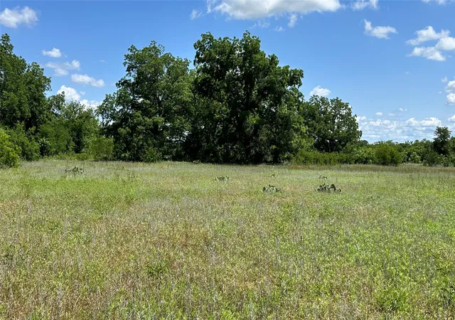 Photo 3 of Land for sale at Tbd 21 County Road 295, Carbon, TX 76435 | MLS# 21372389 | Listing updated on 2026-10-01