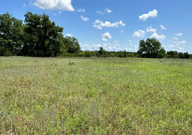 Photo 3 of Land for sale at Tbd 21 County Road 295, Carbon, TX 76435 | MLS# 21372389 | Listing updated on 2026-10-01