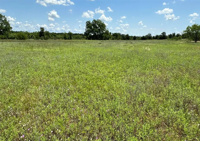 Photo 4 of Land for sale at Tbd 21 County Road 295, Carbon, TX 76435 | MLS# 21372389 | Listing updated on 2026-10-01