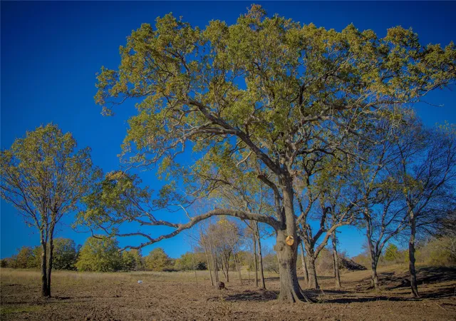 Photo 1 of Land for sale at Tract 4 Lazy E Rd, St Jo, TX 76265 | MLS# 21371790 | Listing updated on 2026-09-02