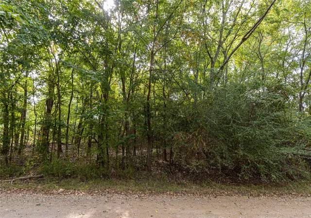Photo 2 of Land for sale at 185 Hackberry, Bullard, TX 75757 | MLS# 21372408 | Listing updated on 2026-08-31
