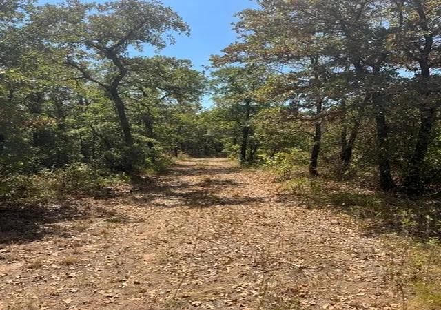 Photo 1 of Land for sale at 1909 Ac N Mason, Perrin, TX 78486 | MLS# 21372631 | Listing updated on 2026-09-04