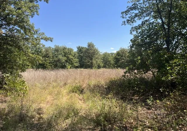 Photo 3 of Land for sale at 1909 Ac N Mason, Perrin, TX 78486 | MLS# 21372631 | Listing updated on 2026-09-04