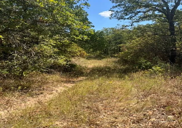 Photo 3 of Land for sale at 1909 Ac N Mason, Perrin, TX 78486 | MLS# 21372631 | Listing updated on 2026-09-04