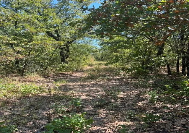 Photo 4 of Land for sale at 1909 Ac N Mason, Perrin, TX 78486 | MLS# 21372631 | Listing updated on 2026-09-04