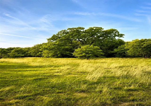 Photo 3 of Land for sale at Lot 1 Pleasant Hill Rd, Sunset, TX 76270 | MLS# 21372282 | Listing updated on 2026-08-30