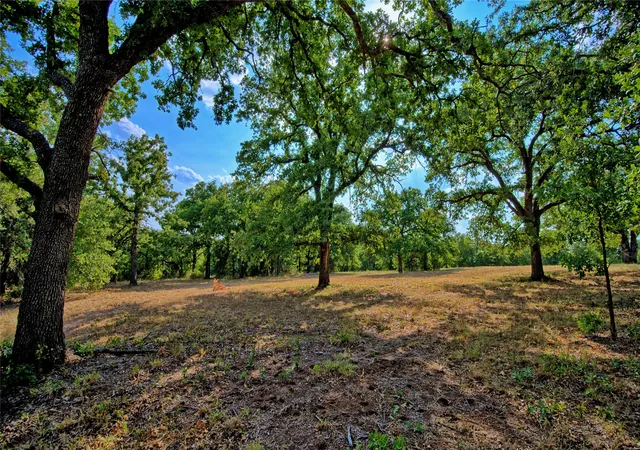 Photo 4 of Land for sale at 384 Red Oak Hills Rd, Nocona, TX 76255 | MLS# 21373132 | Listing updated on 2026-08-31