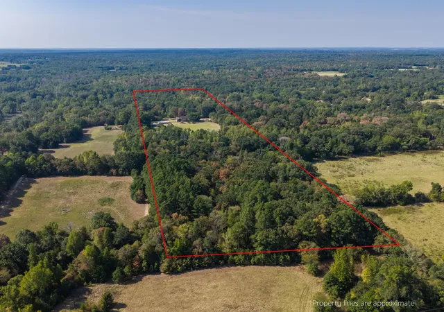 Photo 3 of Single family home for sale at 4475 County Road 3800, Athens, TX 75752 | MLS# 21372753 | Listing updated on 2026-08-31