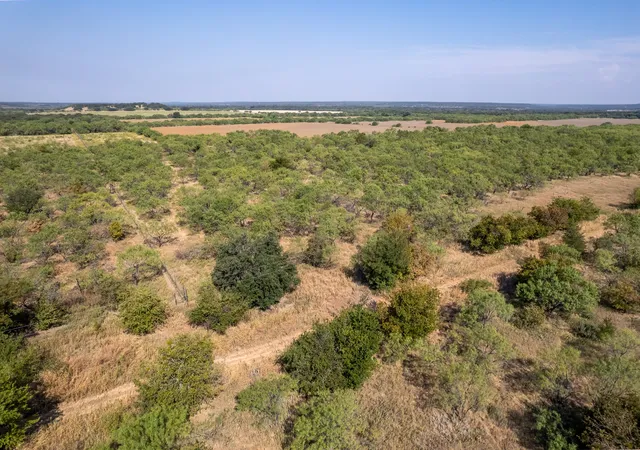 Photo 4 of Land for sale at 454 Cr 196, Gorman, TX 76454 | MLS# 21370182 | Listing updated on 2026-08-31