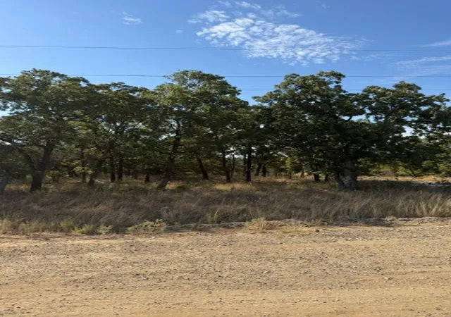 Photo 2 of Land for sale at 194 Cherokee Trl, Nocona, TX 76255 | MLS# 21373516 | Listing updated on 2026-08-31
