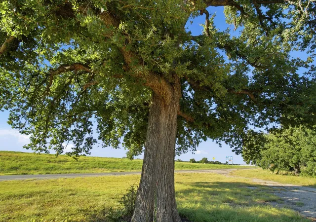 Photo 4 of Land for sale at 87671 Ih 20 W, Santo, TX 76472 | MLS# 21373676 | Listing updated on 2026-08-31