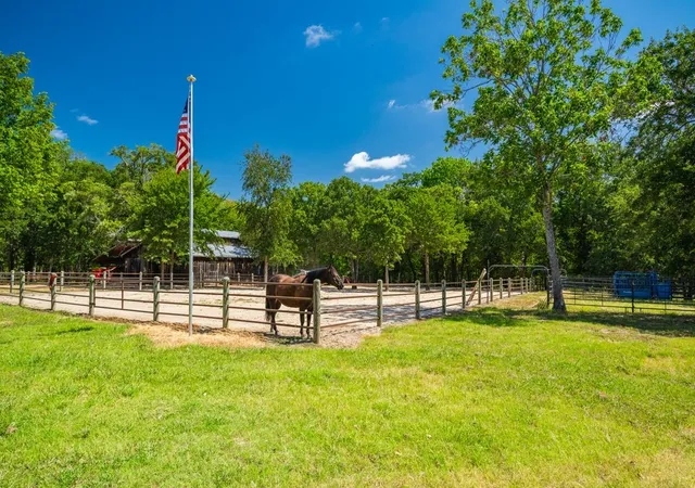 Photo 4 of House for sale at 0 County Rd 3573, Dike, TX 75437 | MLS# 21372355 | Listing updated on 2026-09-01