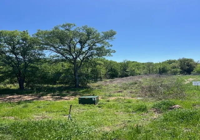 Photo 2 of Land for sale at 1004 Bermes Ct, Brock, TX 76087 | MLS# 21373938 | Listing updated on 2026-09-01
