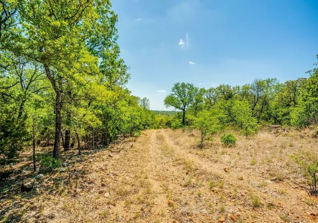 Photo 3 of House for sale at Tbd Hwy 281 Tract 2, Mineral Wells, TX 76067 | MLS# 21373940 | Listing updated on 2026-09-15