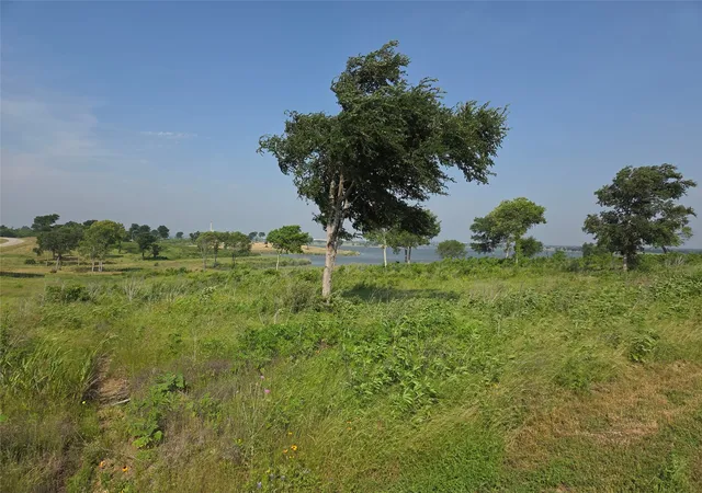 Photo 3 of Land for sale at Lot 42 Barefoot Bay Blvd, Corsicana, TX 75109 | MLS# 21372393 | Listing updated on 2026-09-01