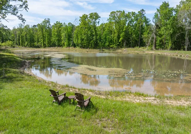 Photo 3 of Land for sale at 8324 Fm 44 E, Simms, TX 75574 | MLS# 21374003 | Listing updated on 2026-09-01