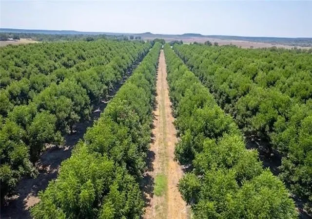Photo 40 of Land for sale at 4075 W Us Hwy 190 C, San Saba, TX 76877 | MLS# 21374037 | Listing updated on 2026-09-01