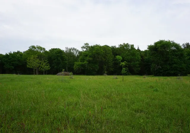 Photo 3 of Land for sale at 11919 County Rd 1200, Malakoff, TX 75148 | MLS# 21374117 | Listing updated on 2026-09-01