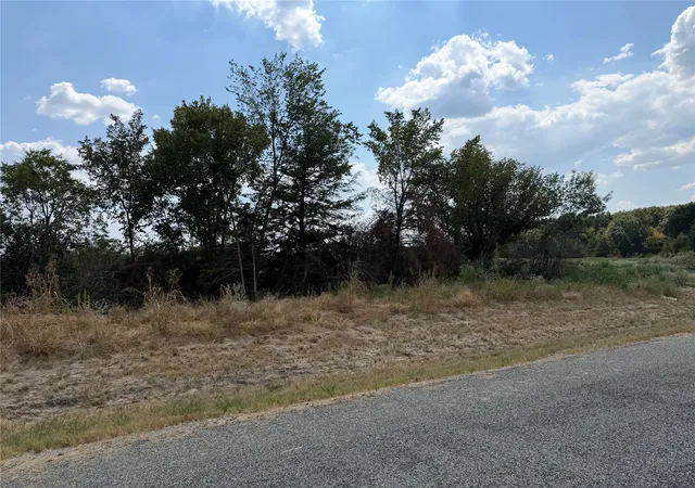 Photo 3 of Land for sale at Lot 6 County Rd 1110, Farmersville, TX 75442 | MLS# 21374282 | Listing updated on 2026-09-01