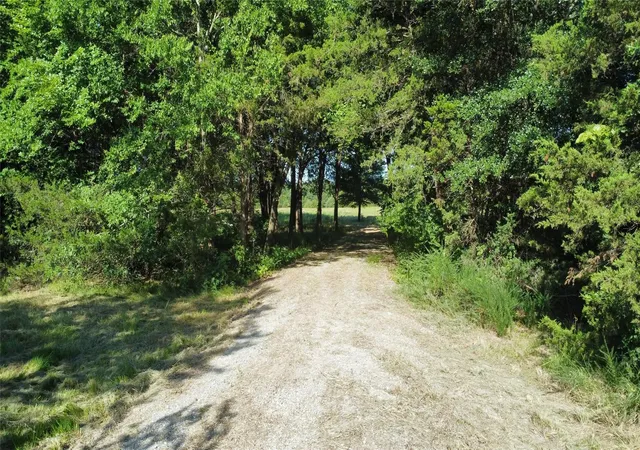 Photo 2 of Land for sale at 1979 Cr 1135, Ravenna, TX 75476 | MLS# 21356943 | Listing updated on 2026-09-01