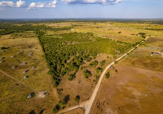 Photo 3 of Land for sale at Tbd Fm 914, Carlton, TX 76436 | MLS# 21367408 | Listing updated on 2026-09-01