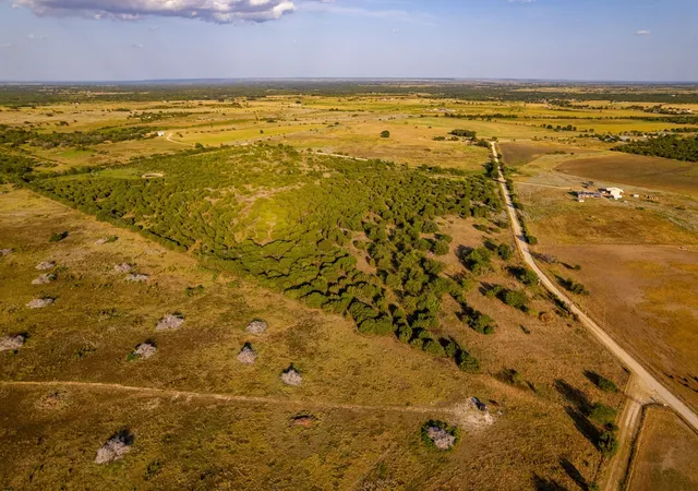 Photo 3 of House for sale at Tbd Fm 914, Carlton, TX 76436 | MLS# 21367408 | Listing updated on 2026-09-01