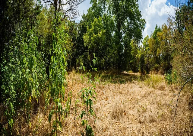 Photo 1 of Land for sale at 500 College Mound Rd, Terrell, TX 75160 | MLS# 21373666 | Listing updated on 2026-09-01