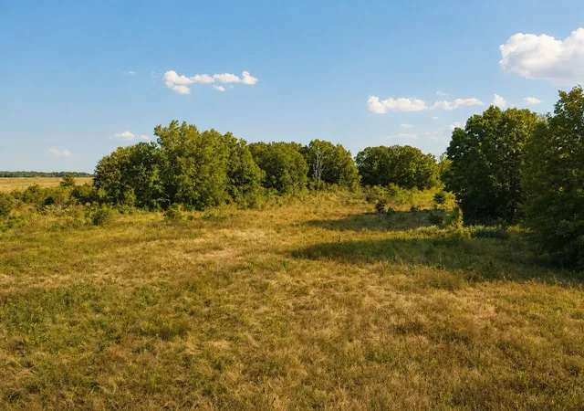Photo 2 of Land for sale at Tbd Fm 410, Detroit, TX 75436 | MLS# 21374768 | Listing updated on 2026-09-02