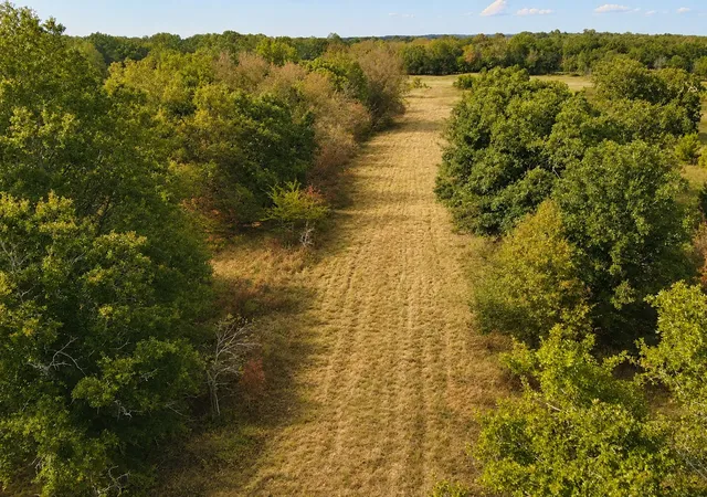 Photo 3 of Land for sale at Tbd Fm 410, Detroit, TX 75436 | MLS# 21374768 | Listing updated on 2026-09-02