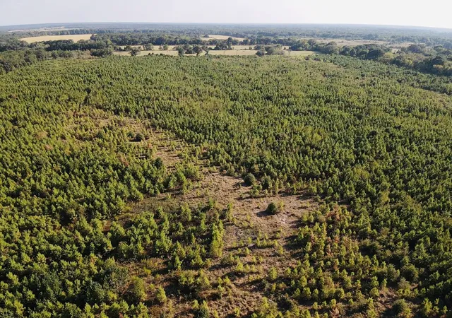 Photo 2 of Land for sale at 000 Fm 410, Detroit, TX 75436 | MLS# 21374854 | Listing updated on 2026-09-02
