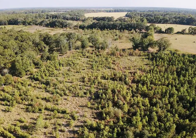 Photo 3 of Land for sale at 000 Fm 410, Detroit, TX 75436 | MLS# 21374854 | Listing updated on 2026-09-02