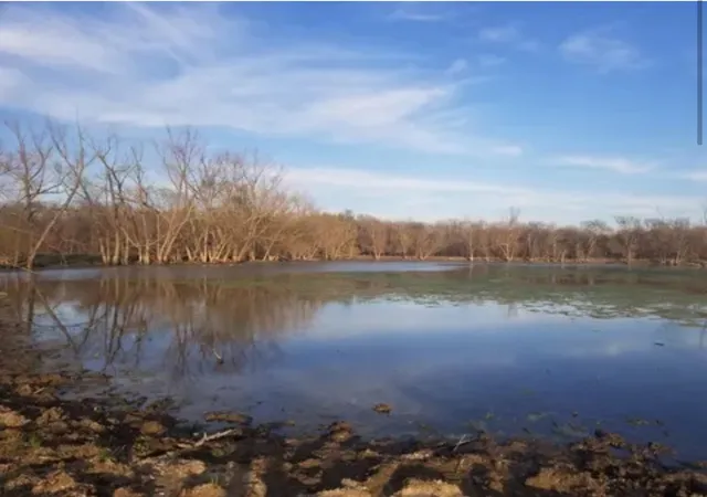 Photo 3 of Land for sale at 2882 Farm Rd 3134, Cumby, TX 75433 | MLS# 21374724 | Listing updated on 2026-09-01