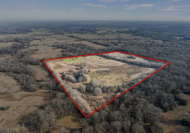 Photo 2 of Land for sale at 10 County Rd 3357, Omaha, TX 75571 | MLS# 21374908 | Listing updated on 2026-09-02