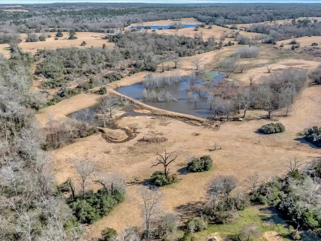 Photo 1 of Land for sale at 0 County Rd 275, Buffalo, TX 75831 | MLS# 21375093 | Listing updated on 2026-10-14