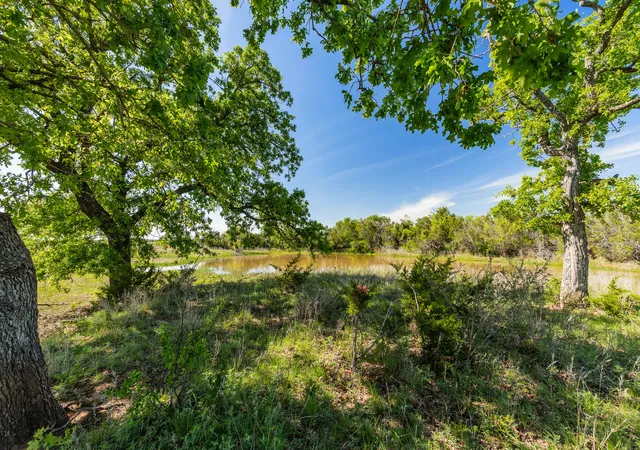 Land for sale at Tbd 200 County Rd 121, Coleman, TX 76834 | MLS# 21371976