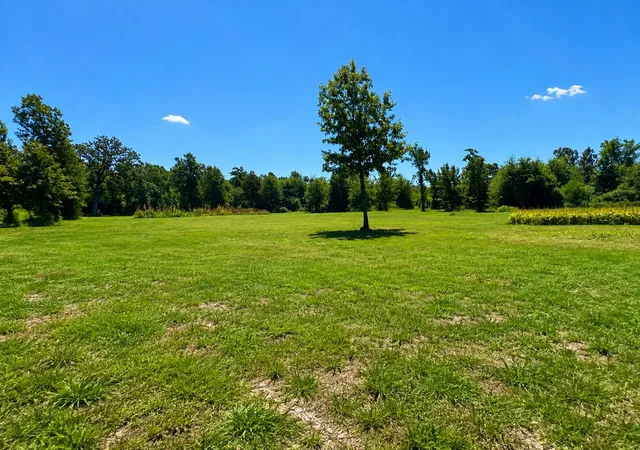 Photo 1 of Land for sale at 0 Albany Rd, Shreveport, LA 71107 | MLS# 21375144 | Listing updated on 2026-09-02