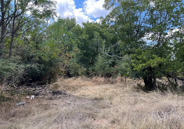 Photo 3 of Land for sale at Tbd Denmark St, Walnut Springs, TX 76690 | MLS# 21375373 | Listing updated on 2026-09-02