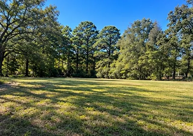 Photo 2 of Land for sale at 503 Pine St, Benton, LA 71006 | MLS# 21375455 | Listing updated on 2026-10-07