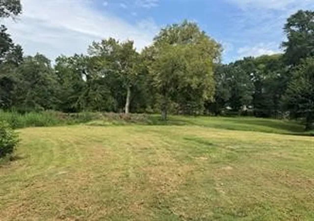 Photo 4 of Land for sale at 4683 E Fm Rd 1396, Telephone, TX 75488 | MLS# 21374392 | Listing updated on 2026-09-02