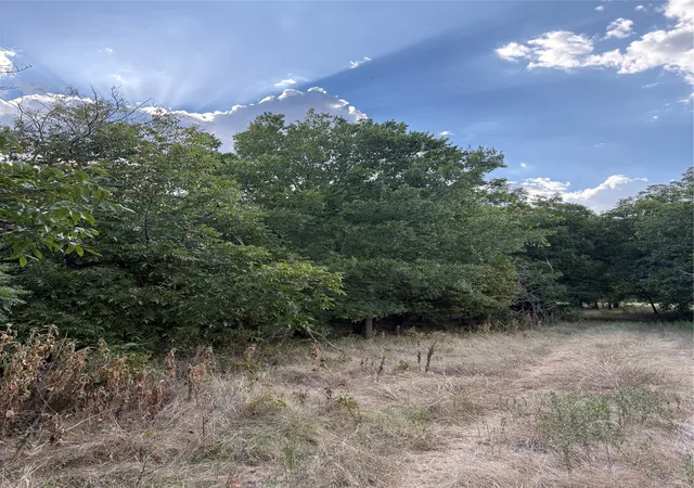 Photo 1 of Land for sale at 271 Wyatt Rd, Jacksboro, TX 76458 | MLS# 21351939 | Listing updated on 2026-09-02