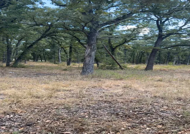 Photo 2 of Land for sale at 0000 R And R, Kemp, TX 75143 | MLS# 21375708 | Listing updated on 2026-09-07