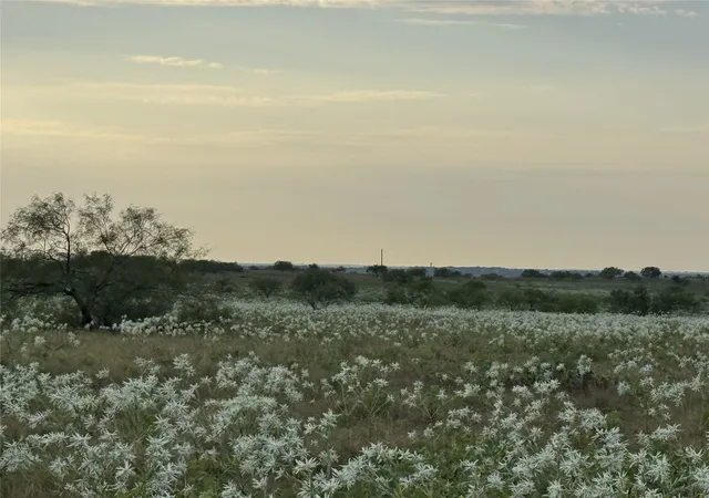 Photo 2 of Land for sale at 237 Private Rd 4512, Decatur, TX 76234 | MLS# 21375806 | Listing updated on 2026-09-02