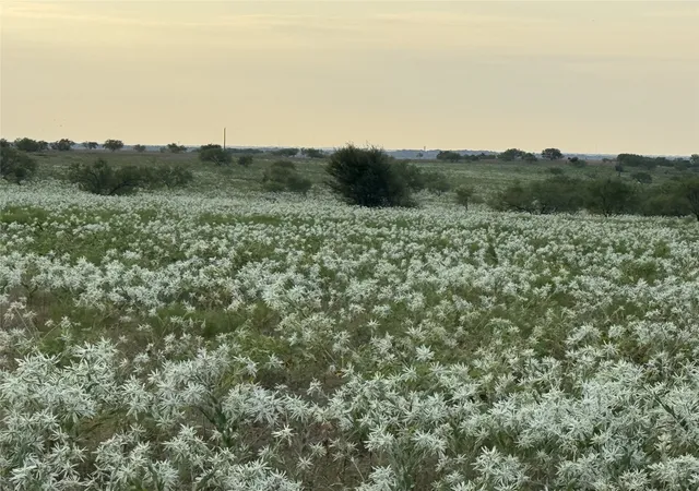 Photo 3 of Land for sale at 173 Private Rd 4512, Decatur, TX 76234 | MLS# 21375813 | Listing updated on 2026-09-02