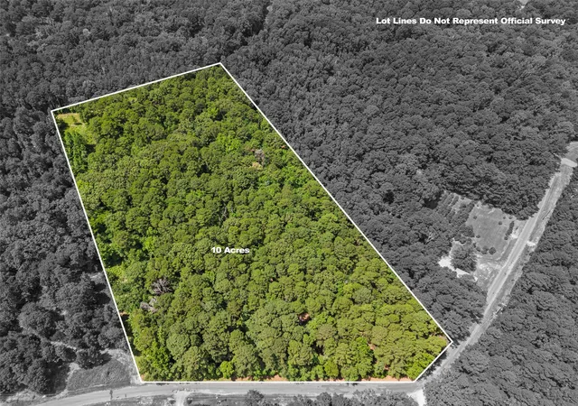 Photo 3 of Land for sale at 00001 N Cr 1527, Avinger, TX 75630 | MLS# 21375999 | Listing updated on 2026-09-02